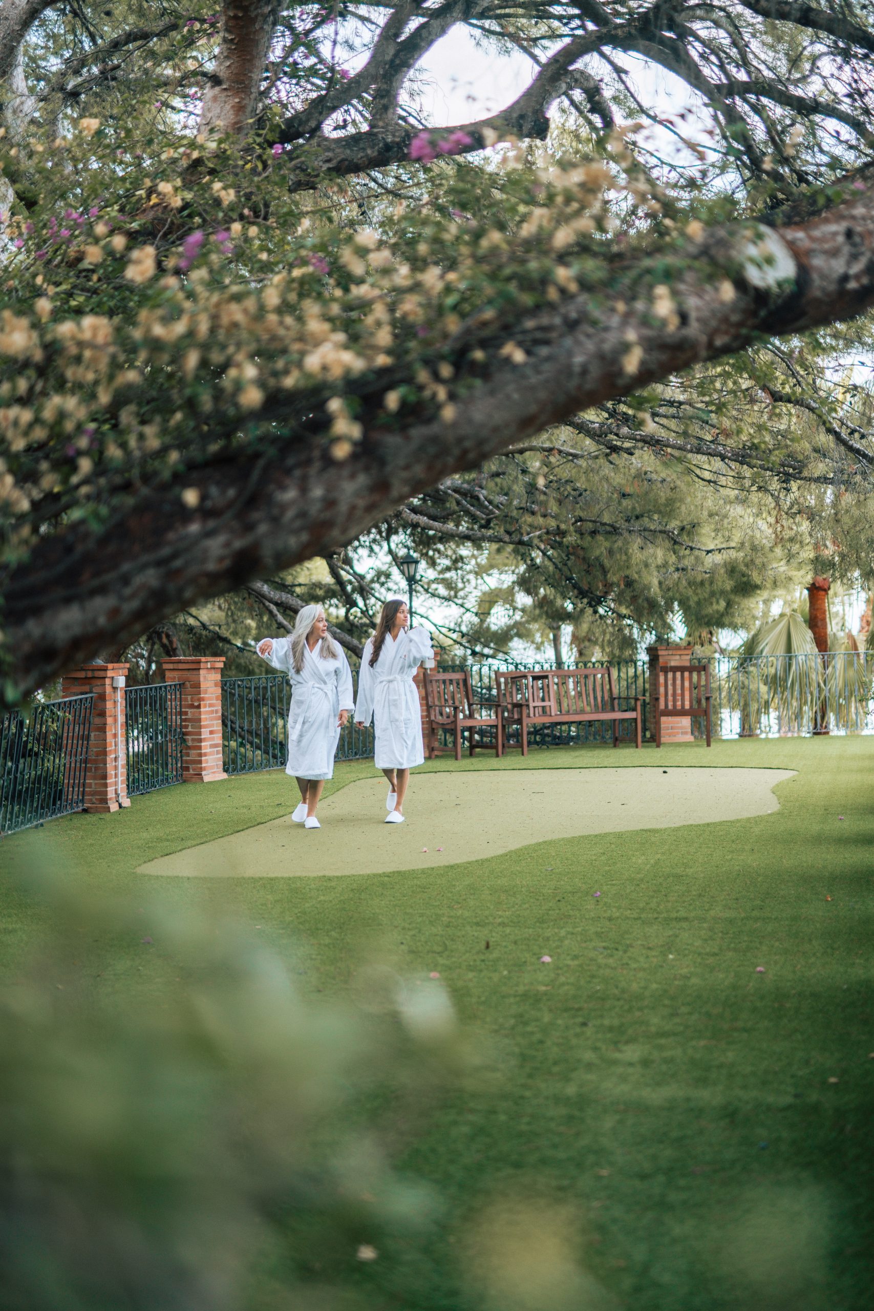 Palasiet - Estrategia digital